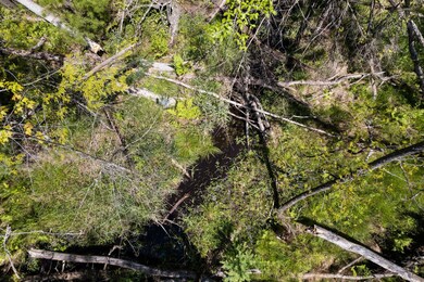 Little creek at back of property