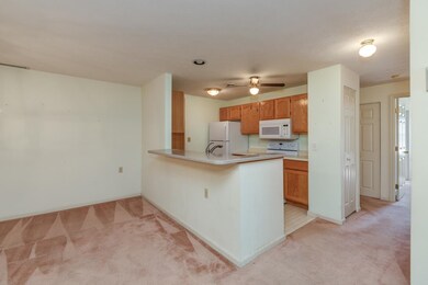 491 Mammoth Rd unit 4, Londonderry, NH 03053 - photo 6