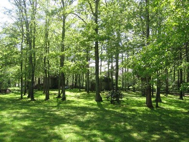 56 Gully Ln, Sandwich, MA 02563 - photo 6