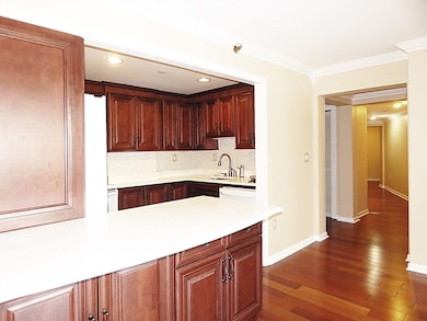 River Court unit 304, Cambridge, MA 02142 - photo 5