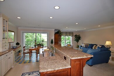 132 N Water St unit 102, Batavia, IL 60510 - photo 7