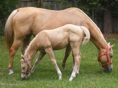 128 Ashton Oaks Dr, Saint Augustine, FL 32092 - photo 2