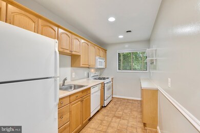 2800 Dartmouth Rd unit 10, Alexandria, VA 22314 - photo 7