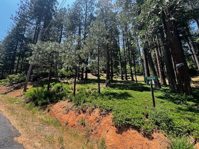 2904 Venado Dr, Arnold, CA 95223 - photo 2