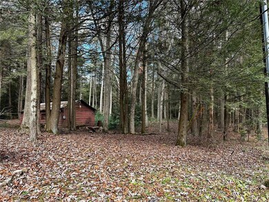Saw Mill Run common area