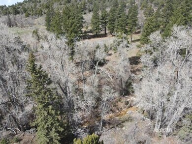 317 Sunflower, Duck Creek Village, UT 84762 - photo 4