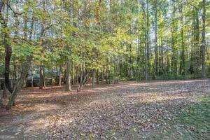 250 Devilla Trace, Fayetteville, GA 30214 - photo 4