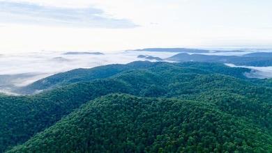 0000 County Road 6061, Flippin, AR 72634 - photo 5