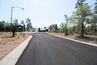 381 E Huckleberry Ln unit 4, Show Low, AZ 85901 - photo 4