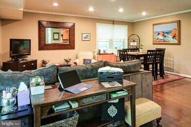 1142 Cove Rd unit 301, Annapolis, MD 21403 - photo 4