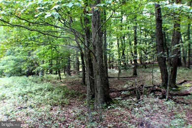 LOT 16 Posy Hill Rd, Wardensville, WV 26851 - photo 4