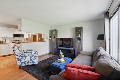 111 96th Ln NE, Minneapolis, MN 55434 - photo 3