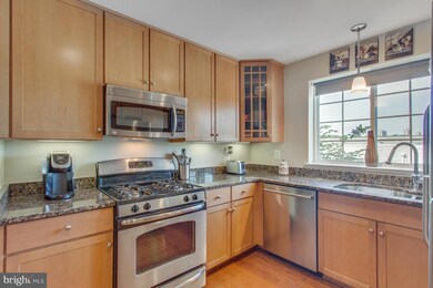 The West Village of Shirlington unit 303, Arlington, VA 22204 - photo 7