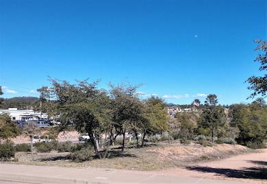 201 W Longhorn Rd, Payson, AZ 85541 - photo 3