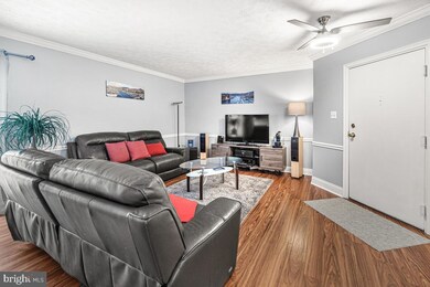 806 Stratford Way unit K, Frederick, MD 21701 - photo 4