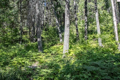 Lot 4 Windham Rd, Sagle, ID 83860 - photo 5