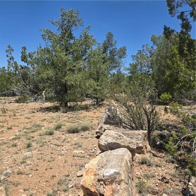 32220 W Conejo Rd, Seligman, AZ 86337 - photo 2