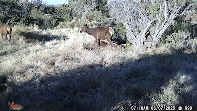 000 Tba Rd, Quemado, NM 87829 - photo 3