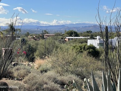 View from back patio