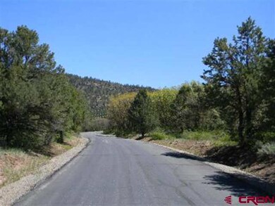 0 Elkridge Ln unit 654954, Durango, CO 81301 - photo 7