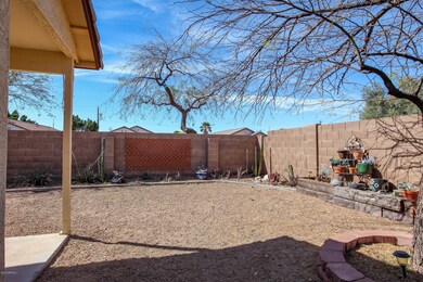 2 Backyard3