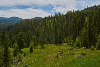 42 & 43 Big Ez Estates Rd, Big Sky, MT 59716 - photo 6