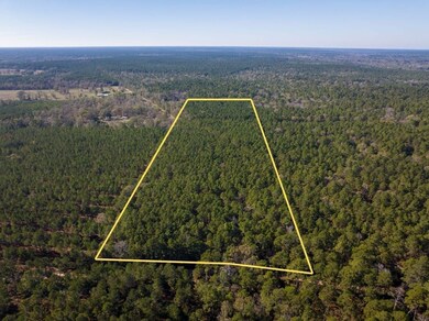 Forest Service Road 527, Apple Springs, TX 75926 - photo 3