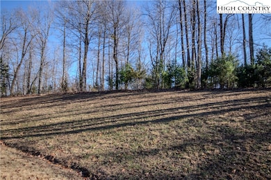 2221 Nighthawk Ridge Ct, Lenoir, NC 28645 - photo 3