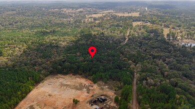 TBD Cr 162, Kilgore, TX 75662 - photo 6