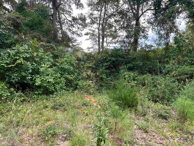 1390 State Road S-26-268, North Myrtle Beach, SC 29582 - photo 4