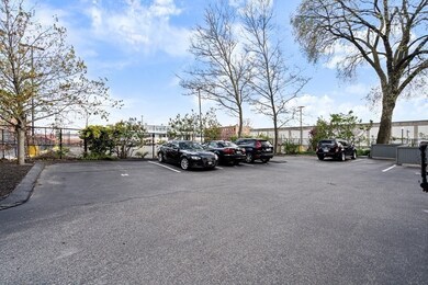 8-14 Newcomb St unit 2, Boston, MA 02118 - photo 6