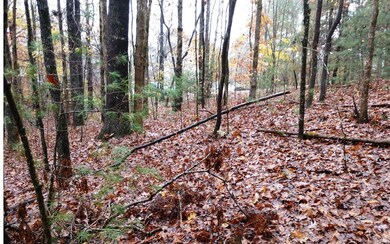 LT 48 D j Ln, Ellijay, GA 30540 - photo 3