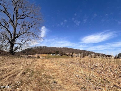 Tbd River Village Ln, Afton, TN 37616 - photo 2