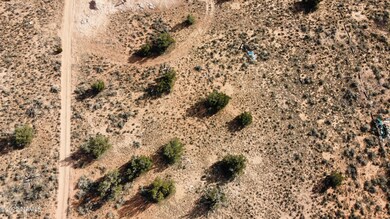 Photo_6619443_DJI_307_jpg_4052469_0_2021