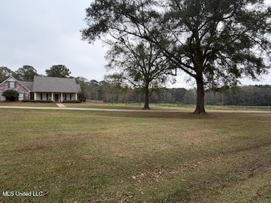 428 Walters Rd, Pelahatchie, MS 39145 - photo 4