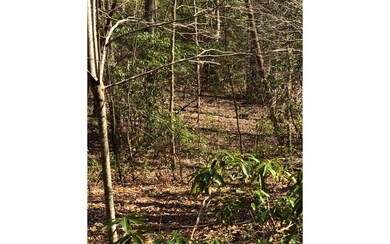 Additional View