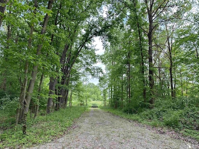 Stone driveway after the bend looking towards the clearing for building