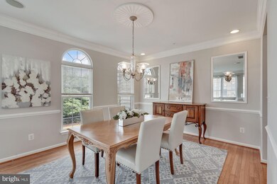 22622 Welborne Manor Square, Ashburn, VA 20148 - photo 5