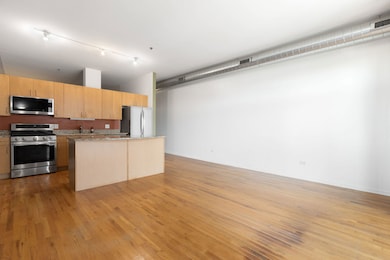 3505 S Morgan St unit 318, Chicago, IL 60609 - photo 4