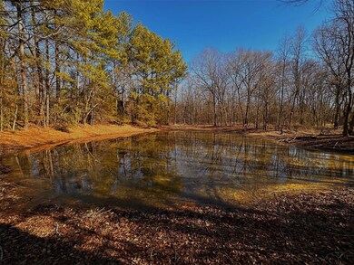 590 An County Road 169, Elkhart, TX 75839 - photo 4