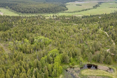 000 Hesseltine Lot 3 Rd, Valley, WA 99181 - photo 3