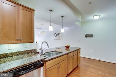 The West Village of Shirlington unit 101, Arlington, VA 22204 - photo 7