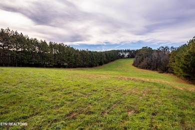 0 Windy J Farms Dr unit 1323516, Louisville, TN 37777 - photo 3