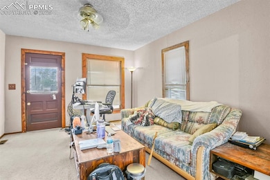 Carpeted living area featuring a textured ceiling and baseboards