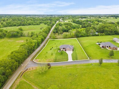 61-web-or-mls-DJI_0386a