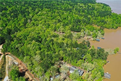 Bird's eye view with a forest view