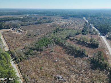 Tbd Midway St, Bamberg, SC 29003 - photo 4