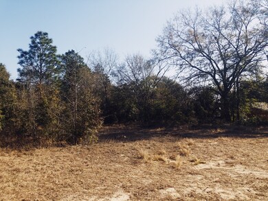 2113 Faircrest Ave, Augusta, GA 30906 - photo 3