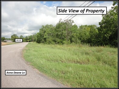 0 Bounds Dr Cr 176c 175c unit 9117594, Alvin, TX 77584 - photo 3
