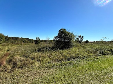 TBD Sharon Dr, Abbeville, AL 36310 - photo 3